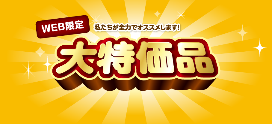 WEB限定大特価品